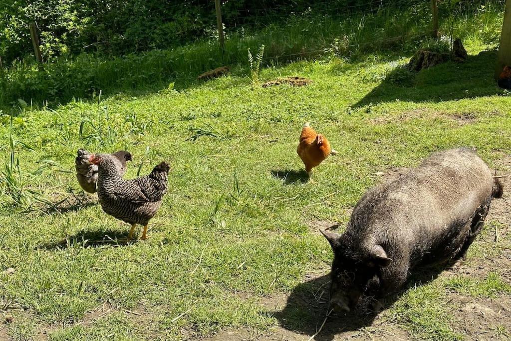 Vakantiewoning Hoogveld Kortessem Luaran gambar