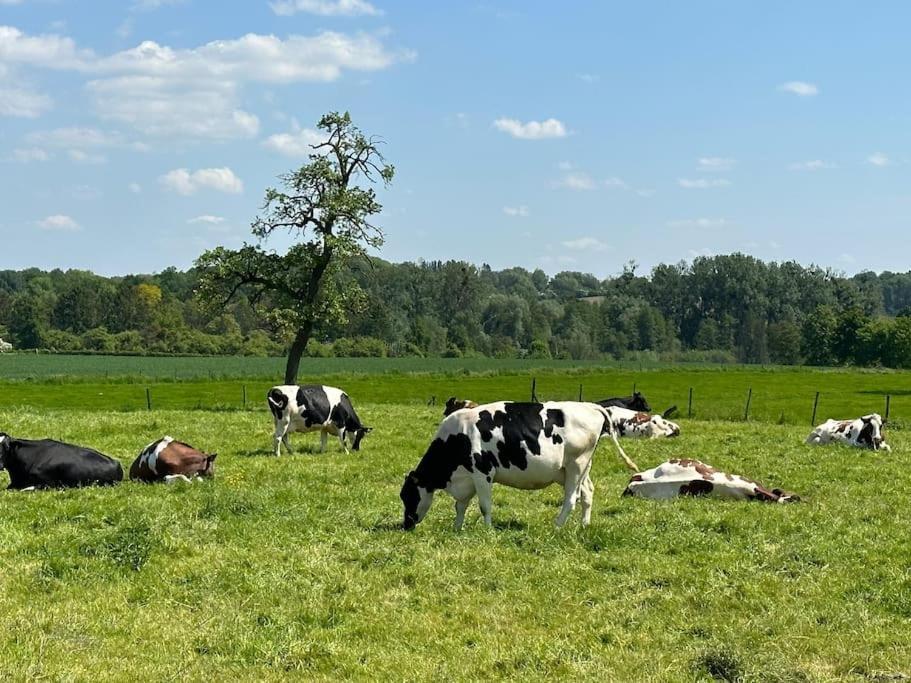 Vakantiewoning Hoogveld Kortessem Luaran gambar